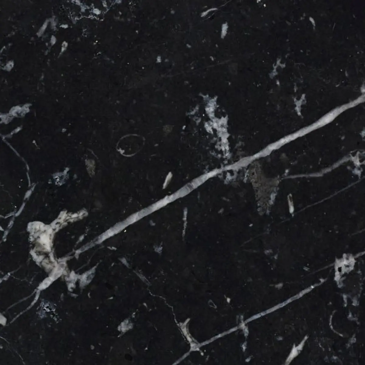 Nero Marquina Select Polished Marble Wall & Floor Tiles