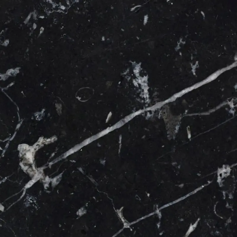 Nero Marquina Select Polished Marble Wall & Floor Tiles