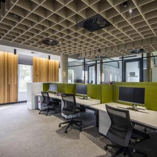 Ceiling acoustic baffle system with several desks with privacy screens