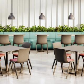 Brown and red chairs in cafeteria style setting