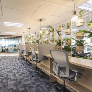 Long desk with desk dividers and hanging plants