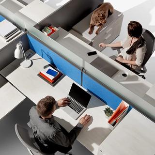Office workspace with a dog, woman, and man using computer