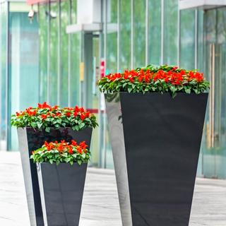 Planters with red flowers