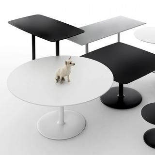 Black and white tables with dog sitting on table