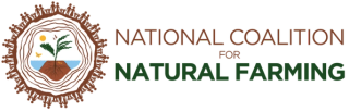 NCNF