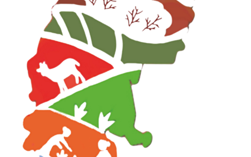 High Imapact Mega Watershed Project