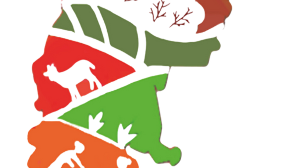 High Imapact Mega Watershed Project