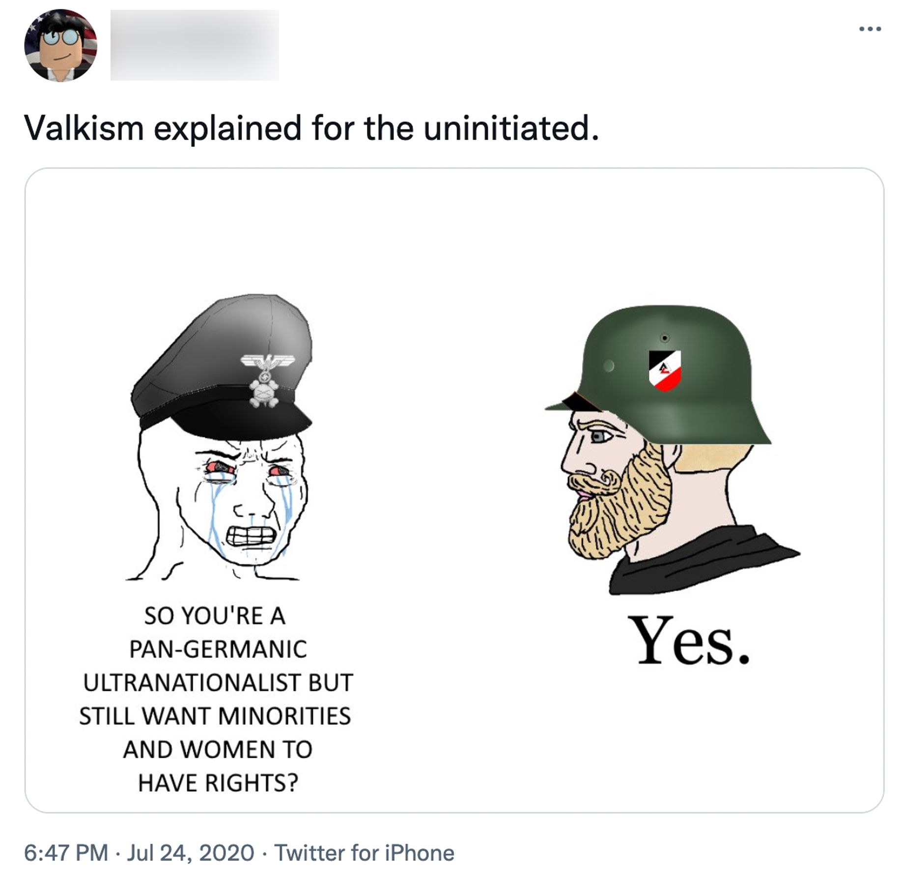 A meme explaining Valkism for the uninitiated, the crying Wojak is wearing Nazi insignia