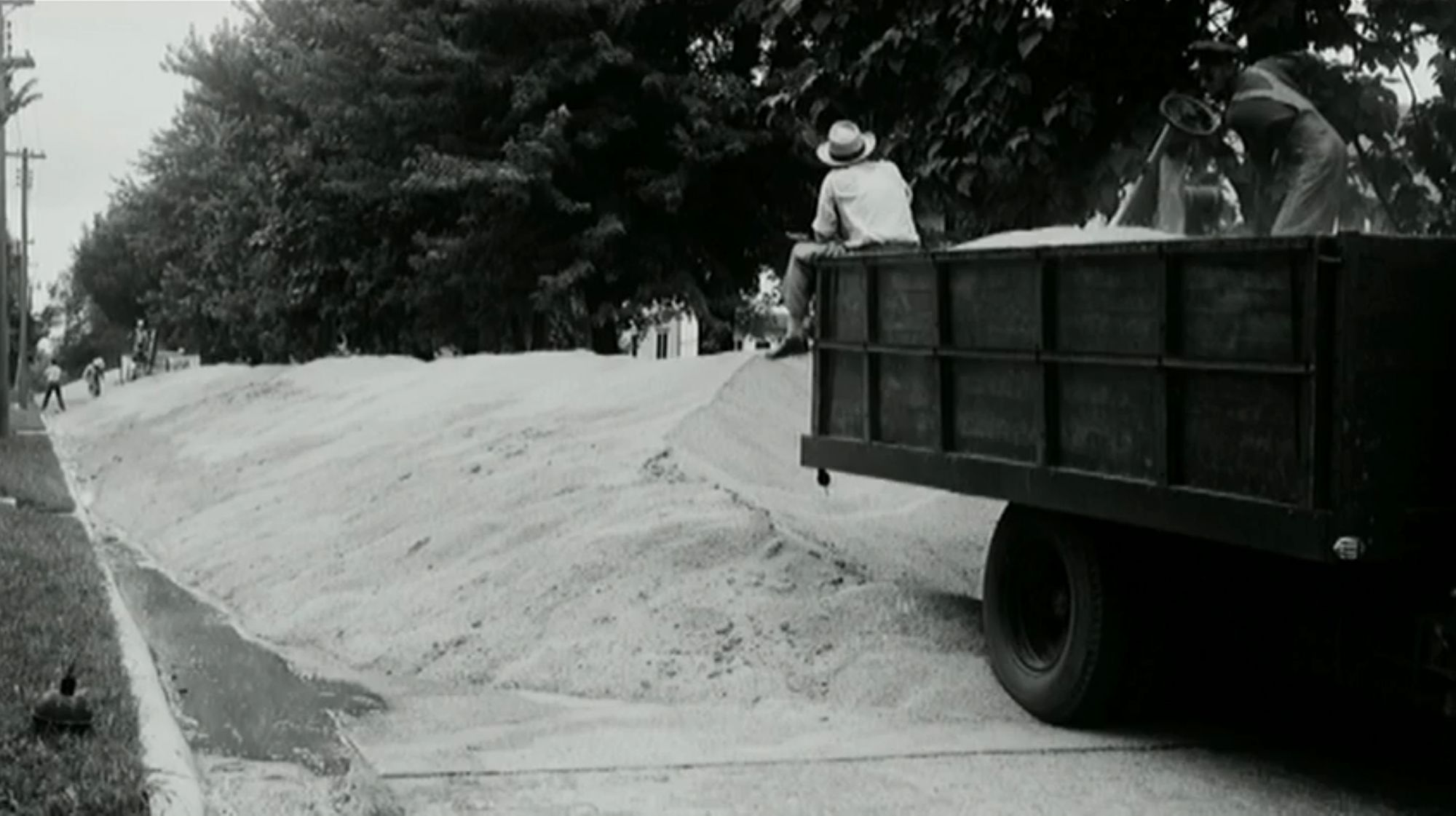 "The Great Plow Up” 1930s — Photo from National Archive, fr The Dust Bowl ep. 1 - Ken
Burns. PBS.