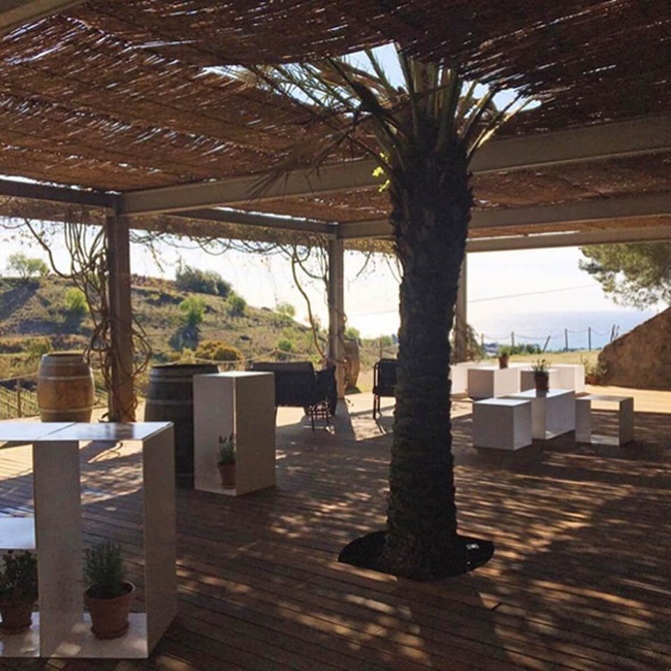 Barcelona teambuilding meeting in winery in Alella