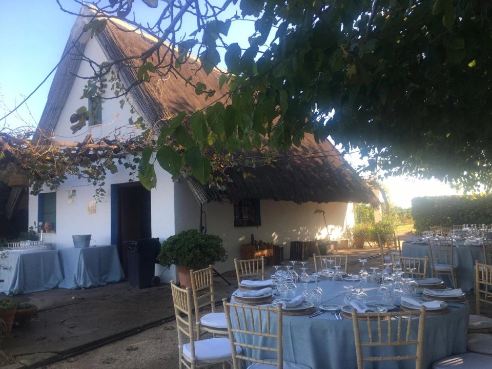 valencia bedrijfsuitje teambuilding paella albufera