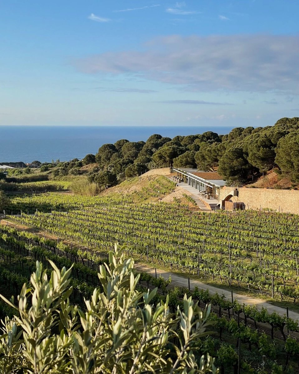 barcelona company trip meeting in winery Alella