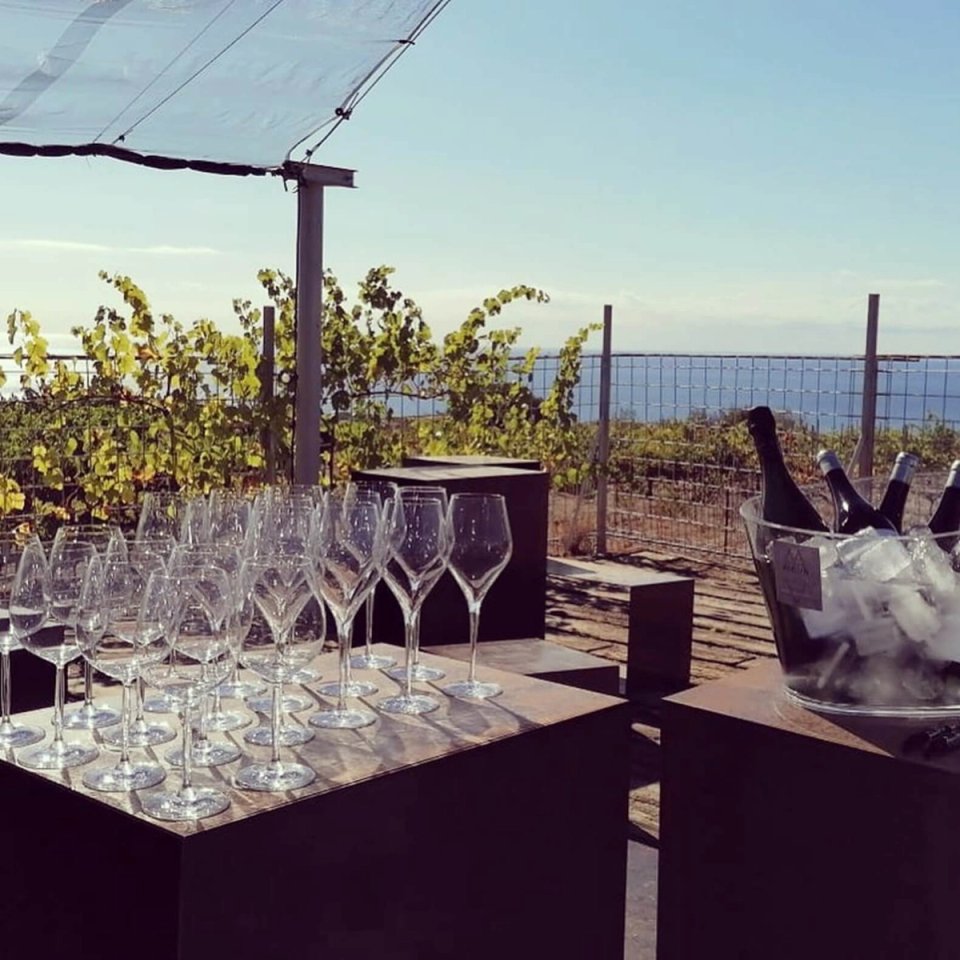 company trip barcelona_teambuilding in winery Alella.jpg