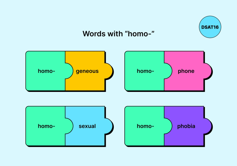 Image displaying four examples of words starting with the prefix "homo-": homogeneous, homophone, homosexual, and homophobia, each shown as two connected blocks.