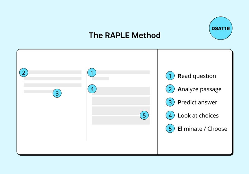 Instructional graphic titled “The RAPLE Method” showing a three-panel layout on a light blue background. The right panel lists five numbered steps in blue circles: 1. Read question, 2. Analyze passage, 3. Predict answer, 4. Look at choices, 5. Eliminate / Choose. The left and center panels depict simplified blocks of text with matching numbered blue circles placed where each step would occur while working through a passage and its questions. A small blue circle in the top right corner contains the label “DSAT16.”