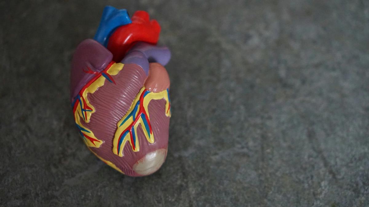 retatrutide heart palpitations How To Manage and Treat Ozempic Heart Palpitations
