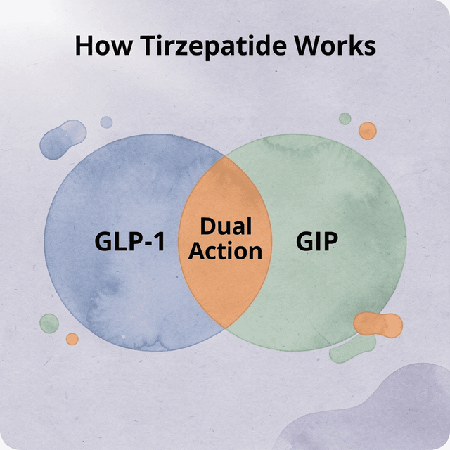 Venn diagram showing GLP-1 and GIP receptor overlap in tirzepatide's dual mechanism