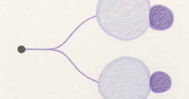Hand-drawn schematic of one dot sending a line to two pairs of shrinking rounded shapes