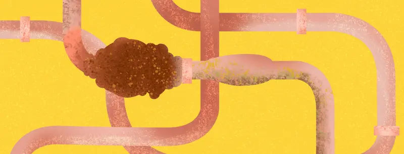 Frequently Asked Questions