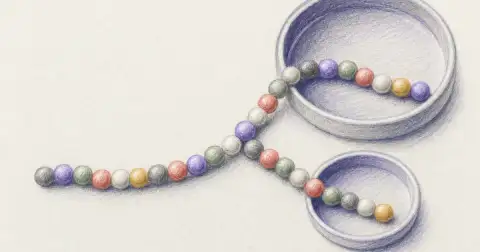 Is Tirzepatide a Peptide? How It Compares