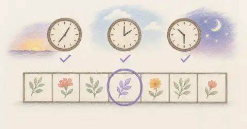 Best Time of Day to Take Mounjaro: What the Label Says and How to Choose