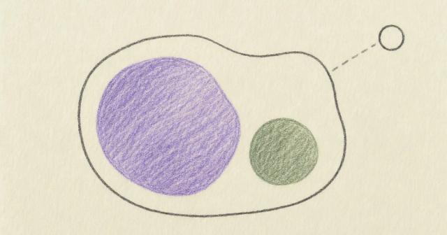 Hand-drawn diagram with two shaded shapes inside a boundary and one small circle outside it