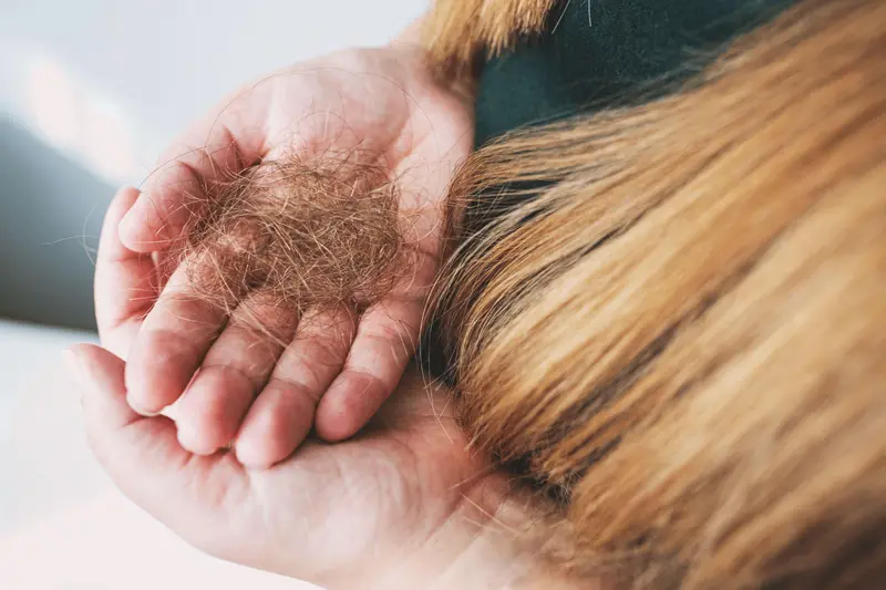 How to Prevent Hair Loss on Ozempic