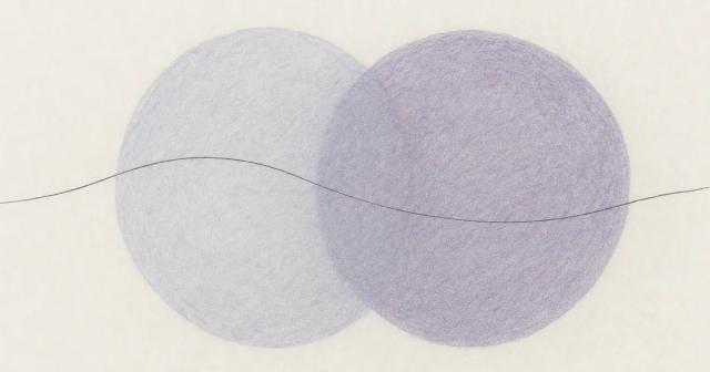 Hand-drawn sketch of two nearly equal overlapping circles with a blurred shared middle