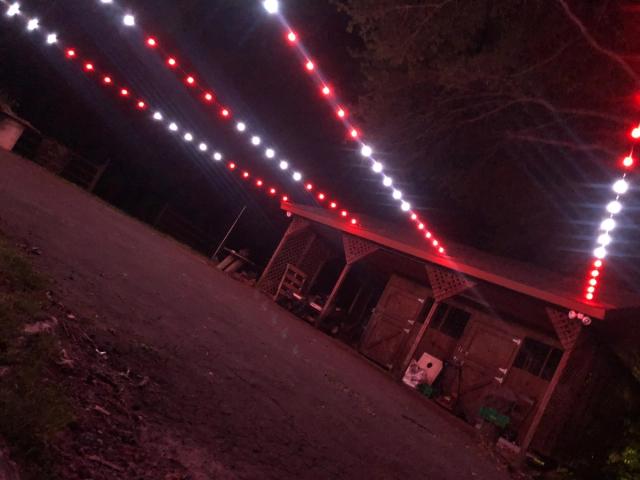 Event lighting: red white string lights barn