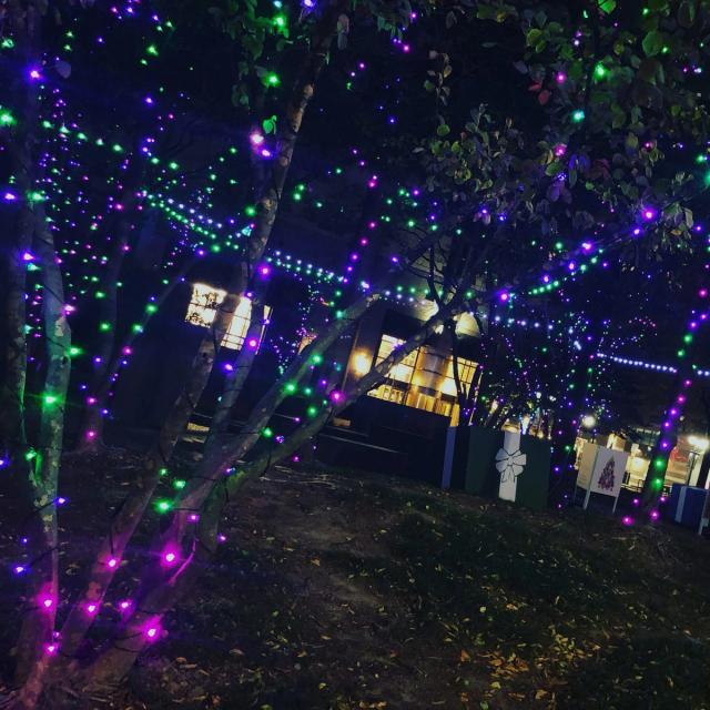 Event lighting: purple green tree wraps urban