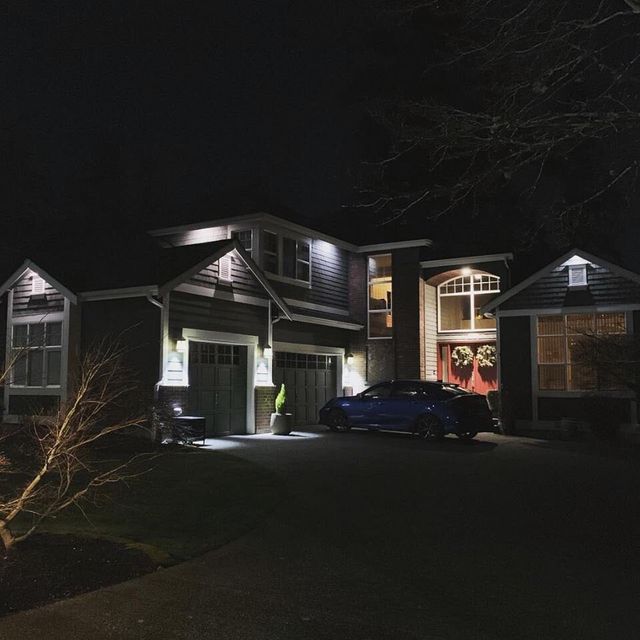 Security and down lighting: craftsman driveway downlit