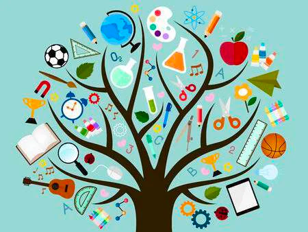 Curriculum Development