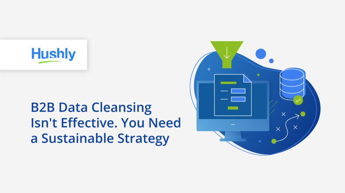 B2B data cleansing