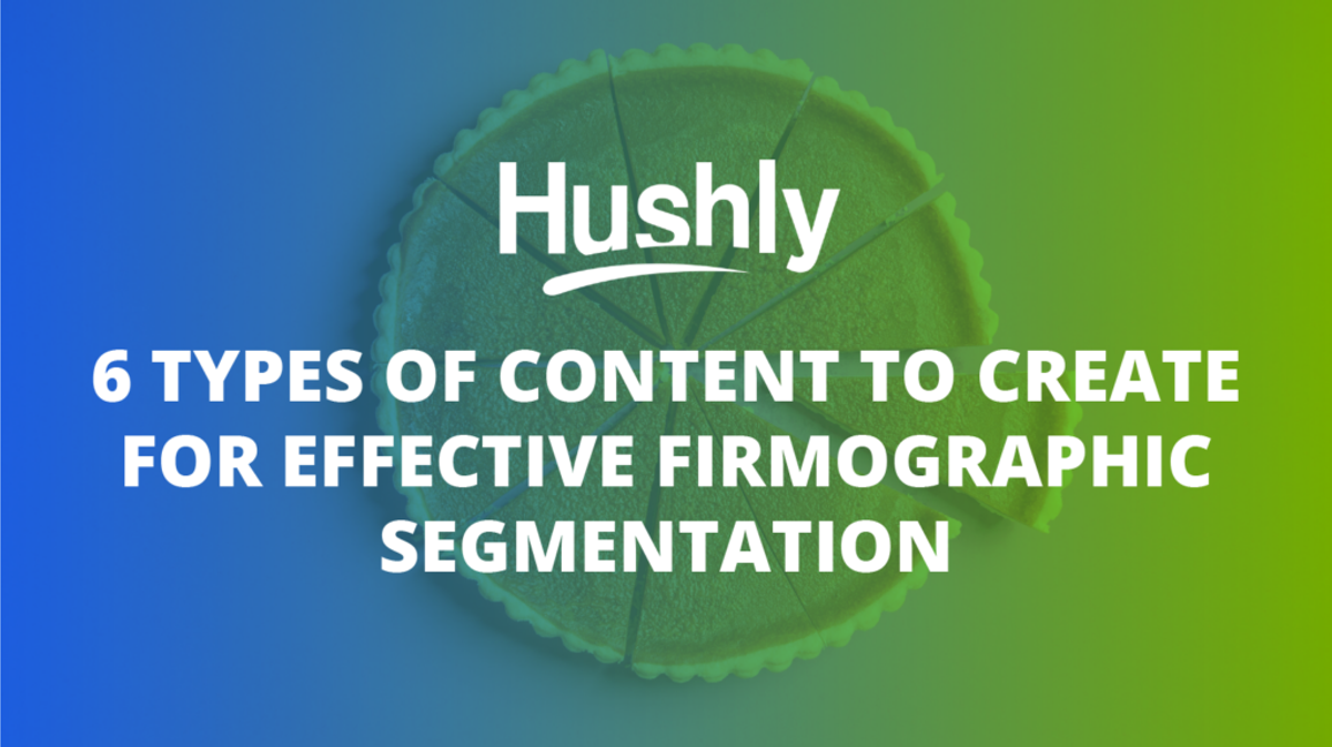 firmographic segmentation