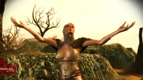 Dragon Age: Origins - Awakening screenshot 1