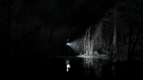 Silver Pines screenshot 5