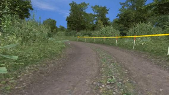 Richard Burns Rally screenshot 3