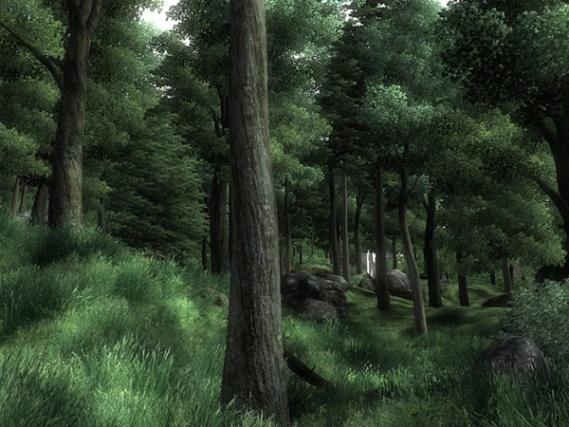 The Elder Scrolls IV: Oblivion screenshot 5