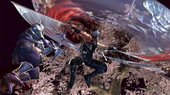 Ninja Gaiden II screenshot 2