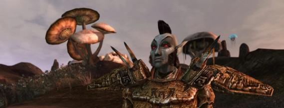 The Elder Scrolls III: Morrowind screenshot 8
