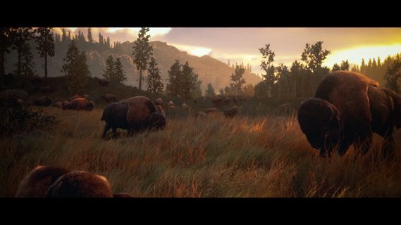 Hunting Simulator 3 screenshot 1