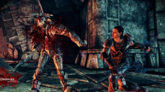 Dragon Age: Origins - Awakening screenshot 3