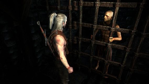 The Witcher 2: Assassins of Kings screenshot 5