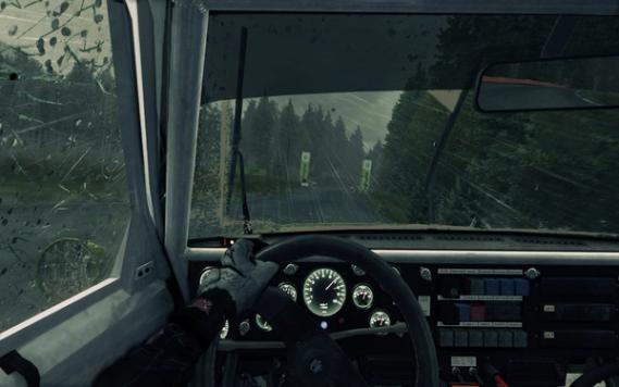 Dirt 3 screenshot 2