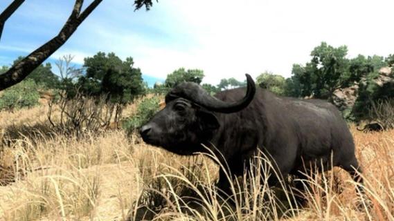 Cabela's Big Game Hunter 2010 screenshot 7