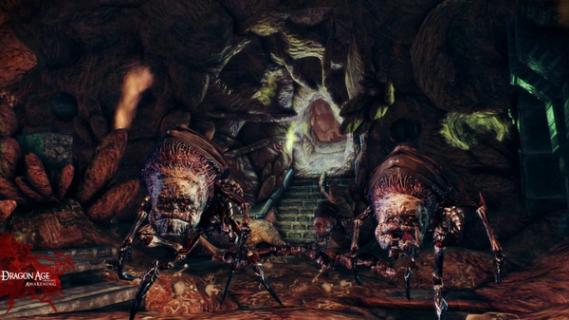 Dragon Age: Origins - Awakening screenshot 5