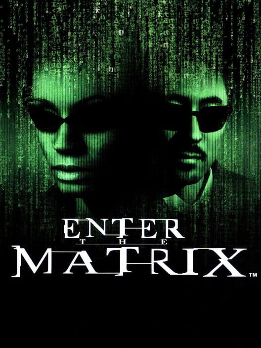 Enter the Matrix box art