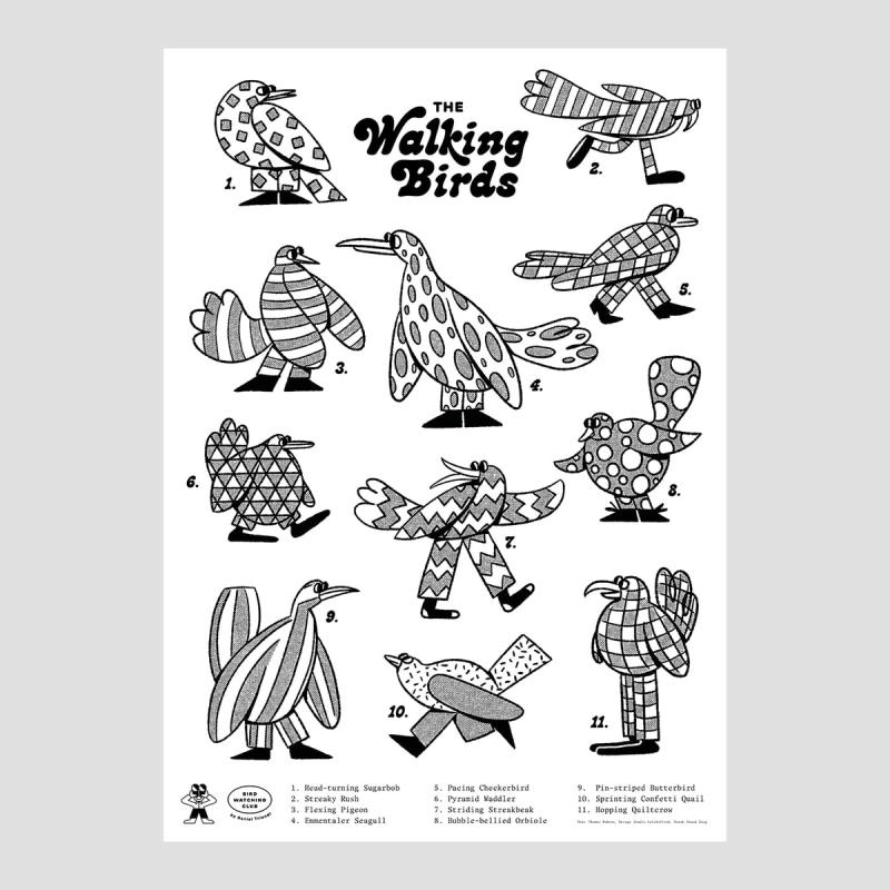 Walking Birds Poster