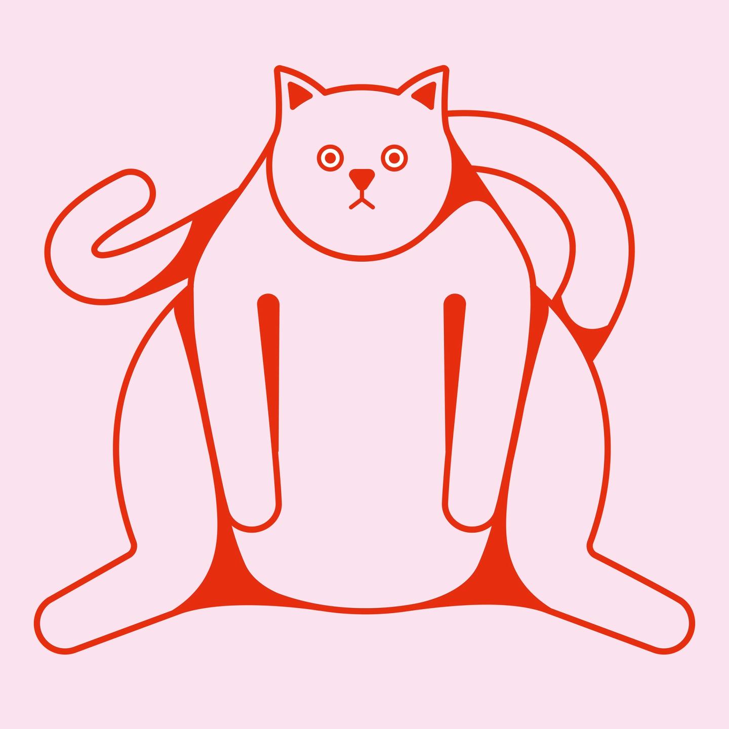 A red cat on a pink background. 