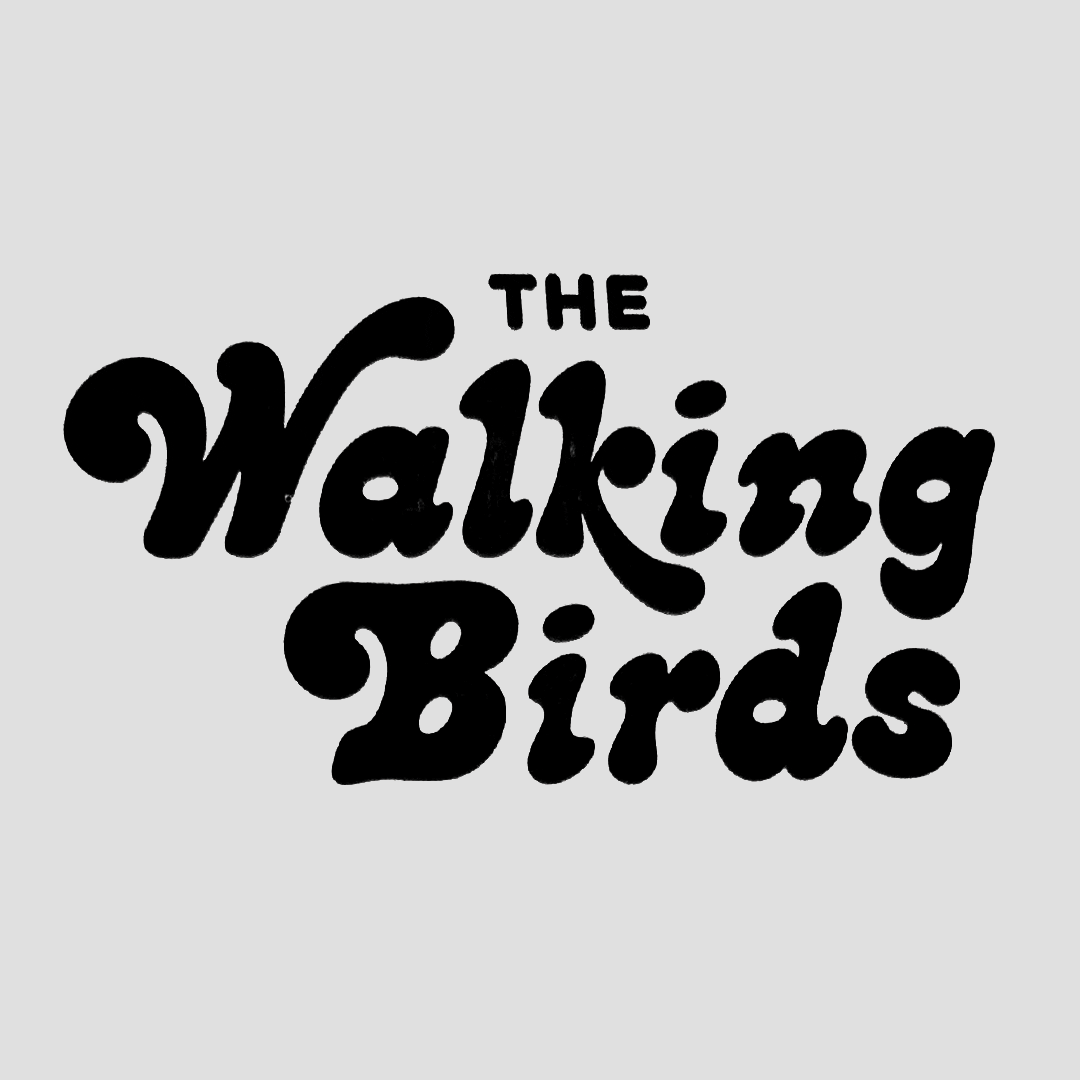 The walking birds intro